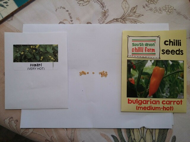 Cumari and Bulgarian Carrot chilli seeds