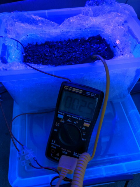 Heated propogator hack. Carbon heating wire directly in soil in insulated container.
Irradiating with UV as a probably futile anti-mould measure.