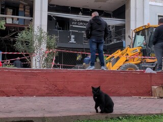 Bomb Cat. A black cat sits in front of a damaged building, where a bomb exploded the previous night.